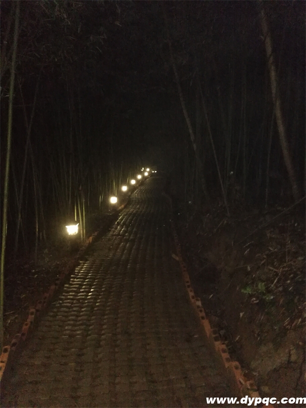 红苗客栈道路亮化实拍